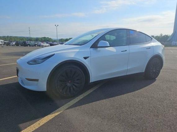TESLA MODEL Y 2021 5YJYGDEE5MF069980 image